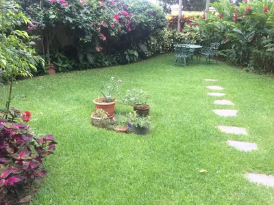 a garden with potted plants and a table and chairs at Zona Rosa San Benito 1 cuartito in San Salvador