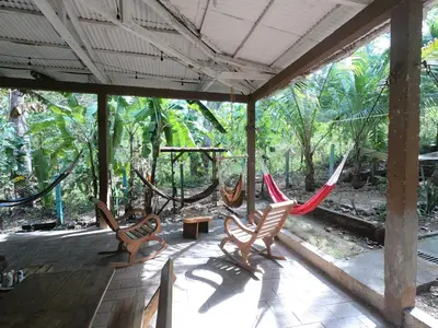 a porch with hammocks in the middle of a forest at Hammock plantation in El Zonte