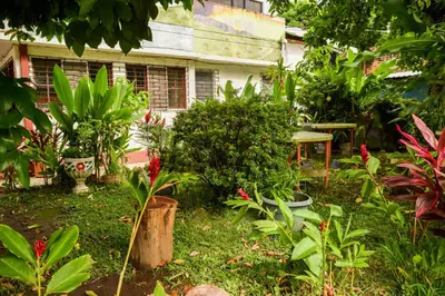 a garden with many plants in front of a house at Hotel San José de la Montaña in San Salvador