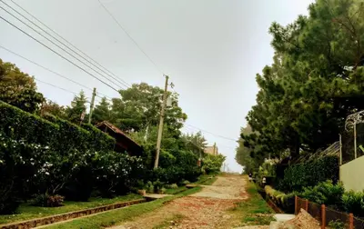 a dirt road in a yard with trees at HOSTAL CABAÑAS AVE MARIA in Concepción de Ataco