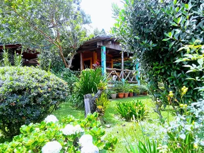 a garden in front of a house with plants at HOSTAL CABAÑAS AVE MARIA in Concepción de Ataco