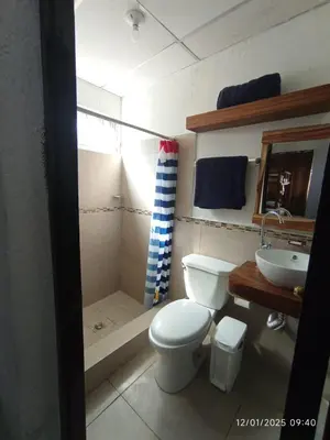 a bathroom with a toilet and a sink and a shower at La Ceja Beach House in El Tamarindo