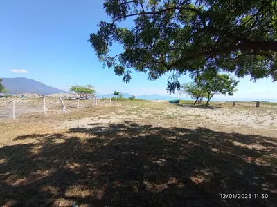 a tree shading a field with a view of the ocean at La Ceja Beach House in El Tamarindo