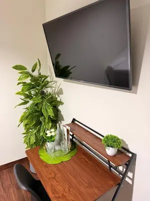 a wooden table with plants and a tv on a wall at Villa Las Flores in San Salvador