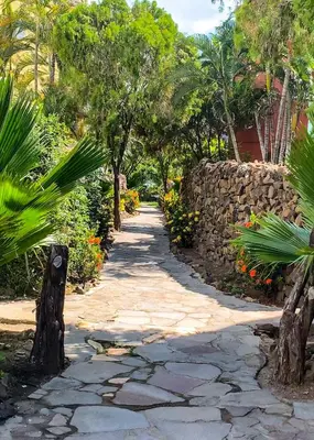 a walkway in a garden with palm trees and a stone wall at Hotel Bahia del Sol in La Herradura