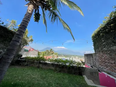 a palm tree in the yard of a house at Mixtepek in Juayúa