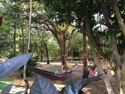 two people laying in hammocks in the trees at Nanda Parbat Hostal in San Rafael Cedros