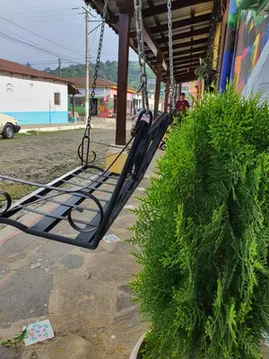 a green bush sitting next to a swing at Hostal Las Veraneras Ataco in Concepción de Ataco