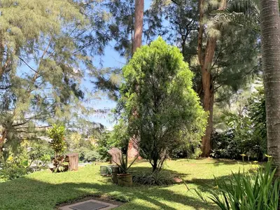 a small tree in the middle of a park at Luxury Modrn Apartment, w/amazing view, 3BR,Escalon,Exclus,Secur in San Salvador