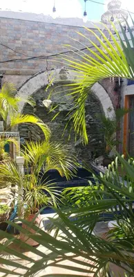 a group of palm trees in front of a brick building at Mendoza’s Guest House in Santa Ana