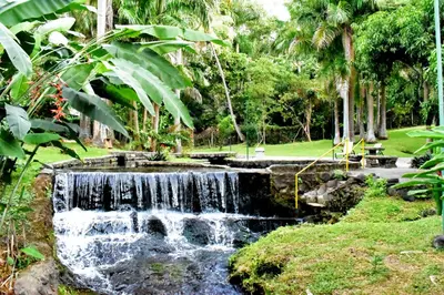 a waterfall in a park with palm trees at Thermal Paradise Villa in Caluco