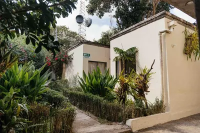 a white building with plants in front of it at Casa 1800 Ataco Hotel Boutique in Concepción de Ataco