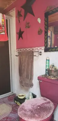 a bathroom with a pink toilet and stars on the wall at Mendoza’s Guest House in Santa Ana