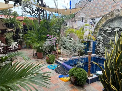 a garden with a bunch of plants in a yard at Mendoza’s GUESTHOUSE in Santa Ana