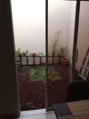 a view of a patio with potted plants through a sliding glass door at La Casa Del Pinito in Sonsonate