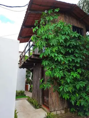 a building with a large green bush next to it at Hotel Tunco Lodge in La Libertad