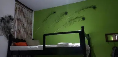 a green room with a mirror and some grasses on the wall at Mendoza’s GUEST HOUSE in Santa Ana