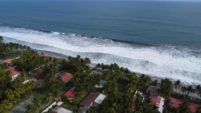 an aerial view of a beach with palm trees at amaremar in San Luis