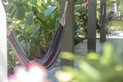 a close up of a hammock in a garden at La Canasta in El Zonte