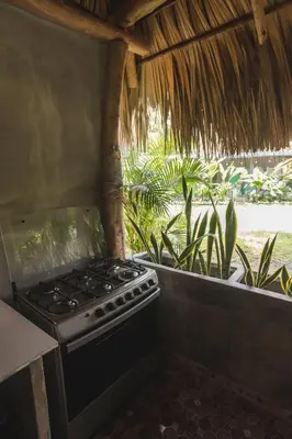 a stove top oven in a kitchen with plants at La Canasta in El Zonte