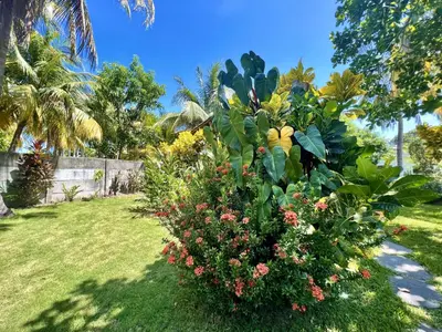 a garden with a bunch of plants and flowers at Beautiful beach house in Los Cobanos El Salvador in Los Cóbanos