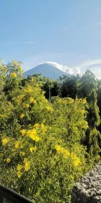 a field of yellow flowers with a mountain in the background at Casa llena de naturaleza y paz perfecta para descansar. in San Miguel