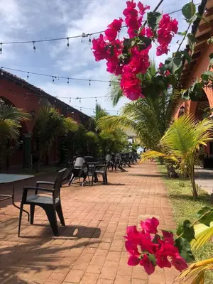 a row of benches on a brick sidewalk with pink flowers at Sambo Mambo Beach Hotel in El Cuco