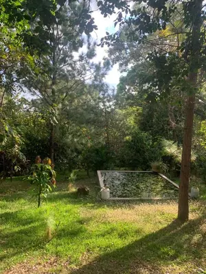 a garden with a pond in the grass at Green Canyon in El Jurón