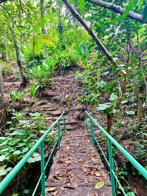 a green rail next to a path in a forest at Green Canyon in El Jurón