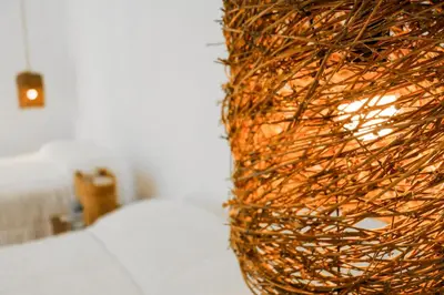 a close up of a vase filled with branches at Equinoccio Hotel in Santa Ana