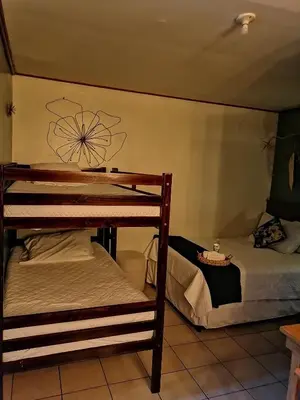 two bunk beds in a room with a wall at Cafeto Loft Lovely and private loft in Ruta de las Flores heart in Juayúa