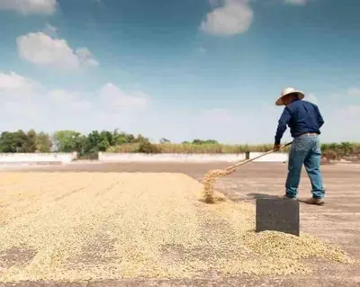 a man using a hose to clean a field at Cafeto Loft Lovely and private loft in Ruta de las Flores heart in Juayúa