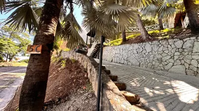 a fence next to a palm tree next to a sidewalk at Treehouse in Tamanique