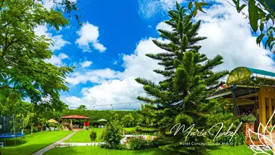 a christmas tree in the middle of a park at Hotel María Isabel Ataco in Concepción de Ataco