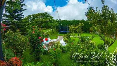 a garden with a bunch of flowers and trees at Hotel María Isabel Ataco in Concepción de Ataco