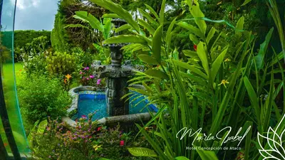 a fountain in a garden with flowers and plants at Hotel María Isabel Ataco in Concepción de Ataco