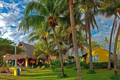 a group of palm trees in front of a yellow house at Casa de Playa Bosque de Mangle en Playa El Espino in El Arco
