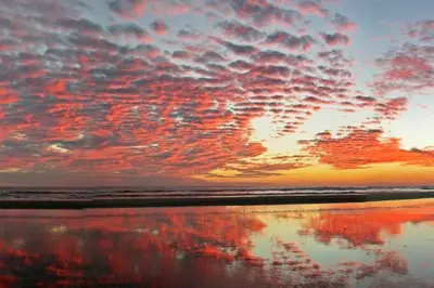 a sunset on the beach with a reflection in the water at Casa de Playa Bosque de Mangle en Playa El Espino in El Arco