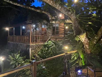 a house with a tree and a bike in front of it at PROVENZA en Los Naranjos in Juayúa