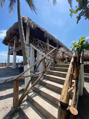 a building on the beach with stairs and palm trees at Hotel Paseo del Sol in La Paz