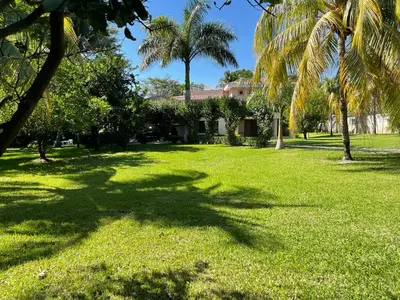 a lawn with palm trees and a house in the background at Beach On The Rocks in El Zonte