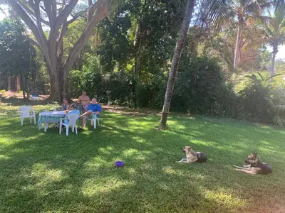 a group of people sitting at a table with two dogs at Beach On The Rocks in El Zonte