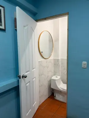 a bathroom with a white toilet and a mirror at Hospedaje Mónaco in San Miguel