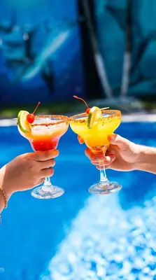 two hands holding two glasses with cocktails at Mi Tierra Aeropuerto SAL Hotel y Restaurante in San Luis