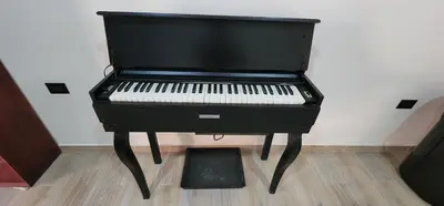 a black piano sitting on top of a wooden floor at Altea Hostal in Santa Ana