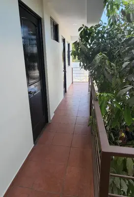 a hallway with plants and a black door at Altea Hostal in Santa Ana