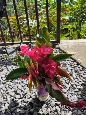 a vase filled with flowers sitting on a rock ground at Casa Hotel Familiar in San Lucas