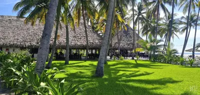 a group of palm trees in front of a building at HOTEL TESORO BEACH in San Luis La Herradura