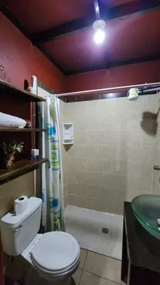 a bathroom with a toilet and a shower and a sink at Bed and breakfast Tía Mema in Santa Ana